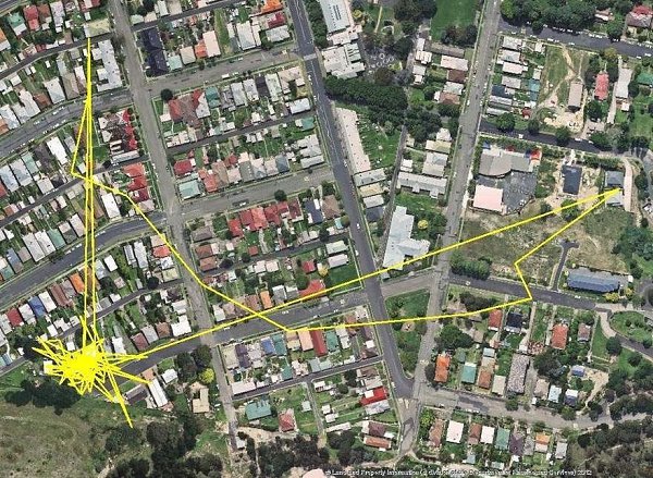 Котикам прикрепили GPS треккер и проследили где они шастают. - 4