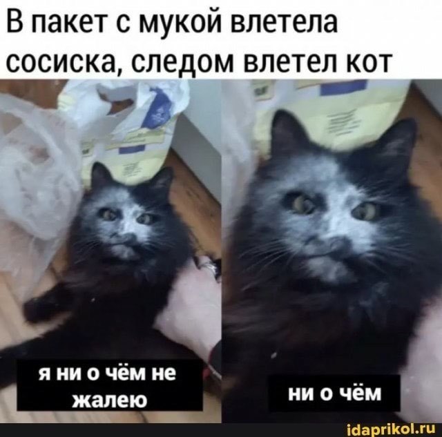    ))