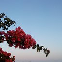 ���� Lissa, �����-���������, 59 ��� - ��������� 9 ���� 2020 � ������ ���� �����
