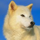 ���� �����, ����, 57 ��� - ��������� 3 ������� 2020 � ������ ������ ��������