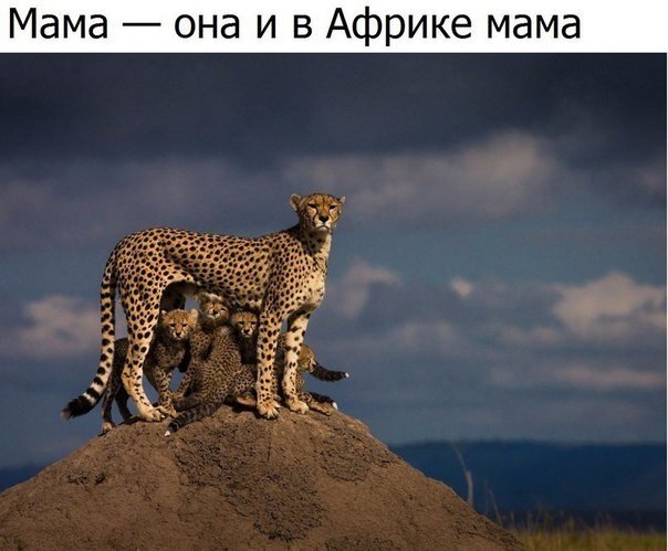    - 22  2020  19:06