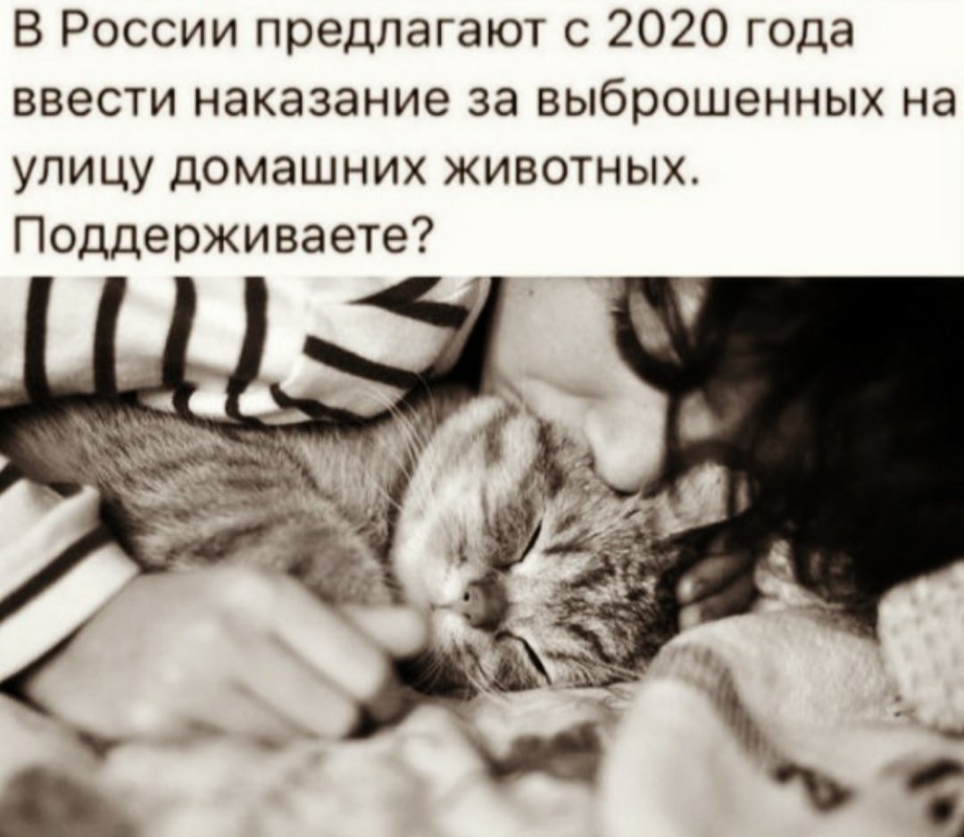 BEST | �����, ���������, ������ - 13 ������ 2020 � 19:02