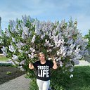 ���� ��������, �����������, 54 ���� - ��������� 3 ���� 2020 � ������ ���� ����������