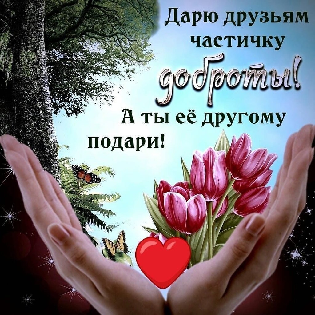   ,    . - 7  2020  11:53
