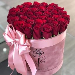 ���������, ����