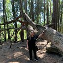 ���� ����������, �������, 74 ���� - ��������� 30 ���� 2020 � ������ ���� ����������