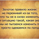���� ������, ���������� �����, 62 ���� - ��������� 1 ������� 2020 � ������ ���� ����������