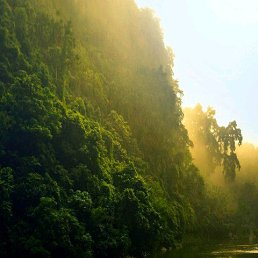 ���� �������, �����, 37 ��� - ��������� 8 ������ 2020