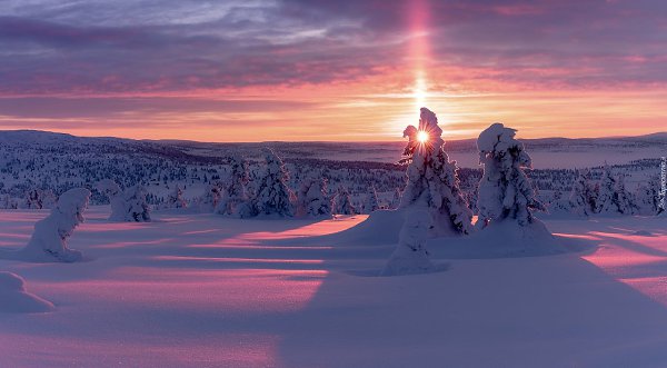    - 18  2020  21:13