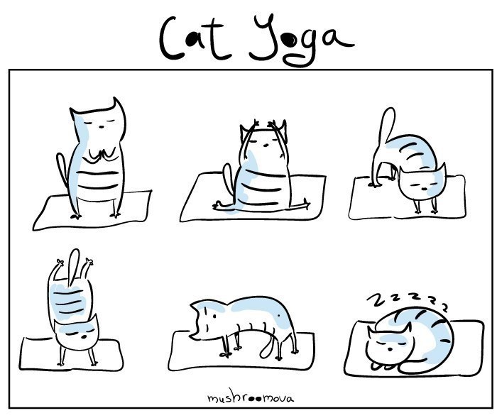  | Yoga - 28  2020  18:57