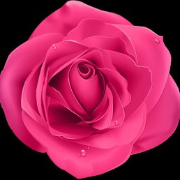 ���, �������, 32 ����