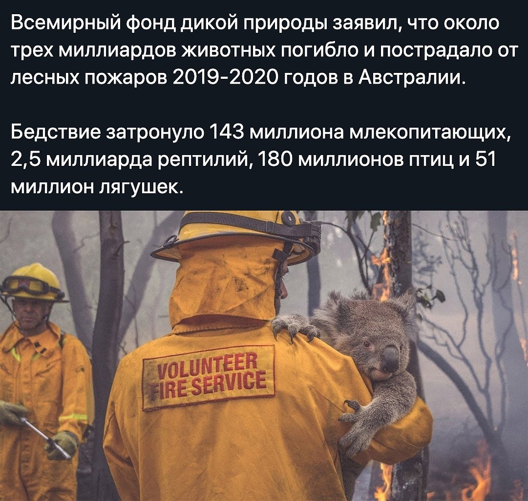    - 29  2020  18:57