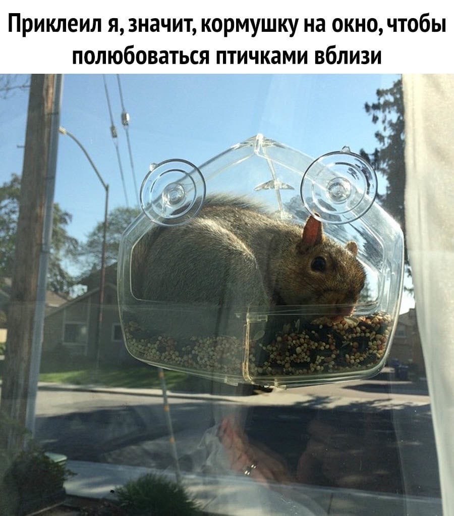 o  nu a?