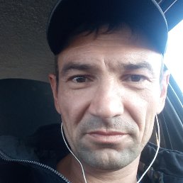 ���� �������, ���������, 41 ��� - ��������� 25 ������ 2020