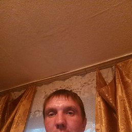 ����, �������, 41 ���