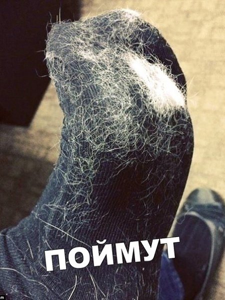 Жиза Это ж любимый кот старается, чтоб мне теплее было