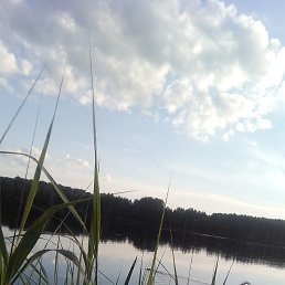 ���� ������, �����������������, 44 ���� - ��������� 6 ������ 2020