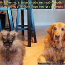 ���� �����, ������� - ��������� 2 ��� 2020 � ������ ������ ��������