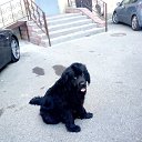 ���� ����, ����������, 52 ���� - ��������� 12 ���� 2020 � ������ ���� ����������