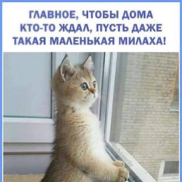 ���� ��������� �����, ������, 52 ���� - ��������� 13 ����� 2020