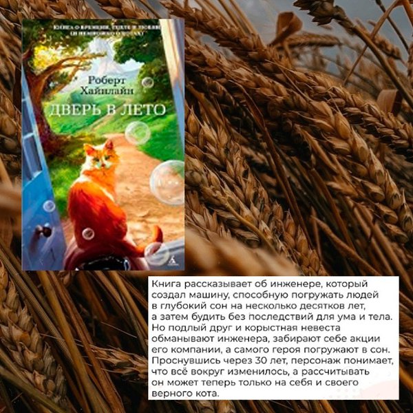 Короткая подборка для атмосферного летнего чтения.. Не забудьте поделиться и своими названиями - 5