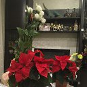 ���� Elena, �������� - ��������� 27 ����� 2020 � ������ ������ � ��� ����