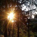 ,.,,03.05.20. 6.00.    2020