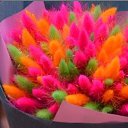 ���� �����, �������, 45 ��� - ��������� 29 ��� 2020 � ������ ���� ����������