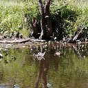 ���� �������, ������������ - ��������� 6 ���� 2020 � ������ ���� ����������