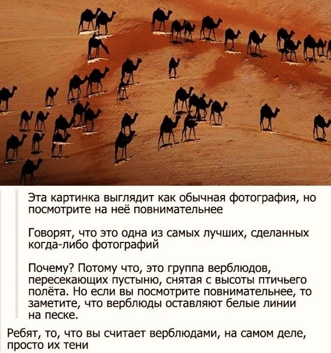 LIFE -  - 24  2020  19:06