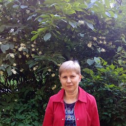 ���� ��������, �����-���������, 54 ���� - ��������� 15 ������� 2020