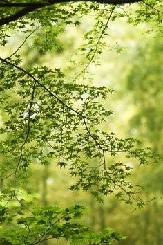 Не обязательно помнить всю жизнь. Важно помнить лишь лучшие её моменты. - 5