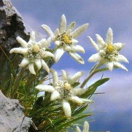 ���� ���������, ���������, 58 ��� - ��������� 18 ������ 2020