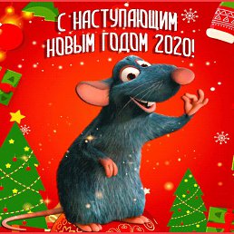 ���� ������, ������, 59 ��� - ��������� 25 ������� 2020