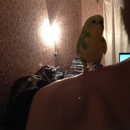 ������, �������, 45 ���