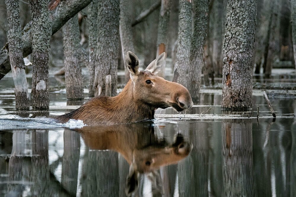       2019    National Geographic.