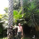  Pavel Volkanov., , 66  -  6  2020    