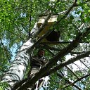 ���� ��������, �����-���������, 48 ��� - ��������� 14 ����� 2020 � ������ ���� ����������