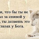 ���� ����, ���������, 46 ��� - ��������� 1 ������� 2020