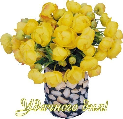 ПРИВЕТСТВИЯ и ПОЖЕЛАНИЯ, открытки на каждый день. - 27 июля 2020 в 18:23 - 4