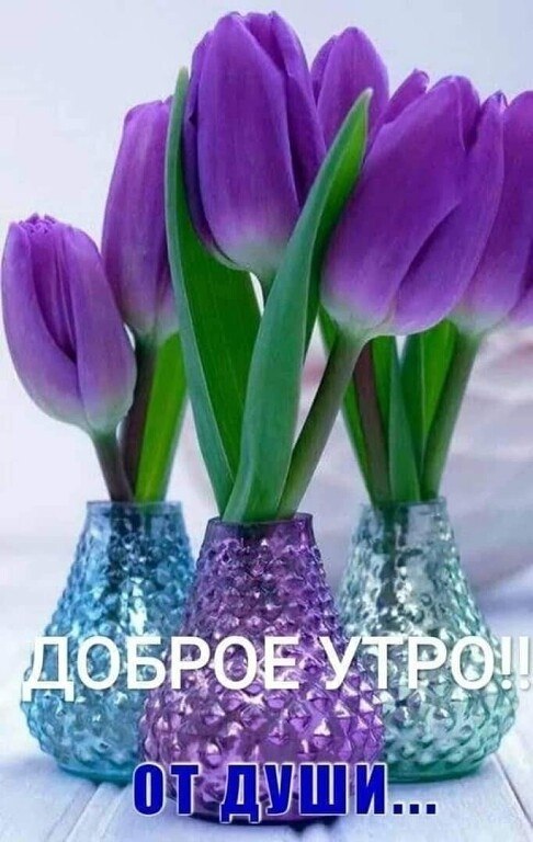  ,    . - 21  2020  20:42 - 10