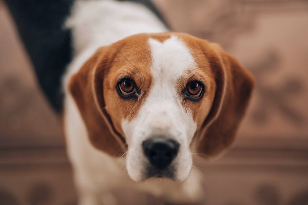 ������ - 30 ���� 2020 � 18:36