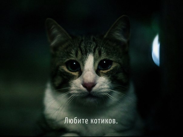    - 9  2020  19:04