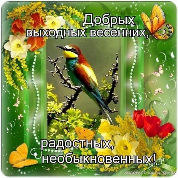 ����������� � ���������, �������� �� ������ ����. - 9 ����� 2020 � 15:10