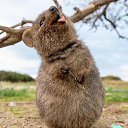  ••,  -  29  2020   