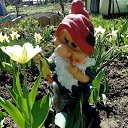 ���� ��������, �������, 51 ��� - ��������� 24 ������� 2020 � ������ ���� ����������