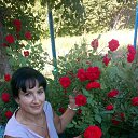 ���� ����, �������, 61 ��� - ��������� 21 ���� 2020 � ������ ���� ����������