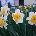  , , 41  -  23  2020      )))