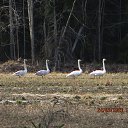 ���� ��������, Kouvola, 78 ��� - ��������� 24 ����� 2020 � ������ ������