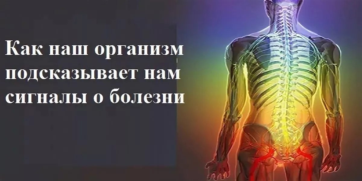 НАШ ОРГАНИЗМ И ЕГО СИГНАЛЫ.Врачи уверены, что в нашем организме «вдруг» ничего не бывает. И даже ...